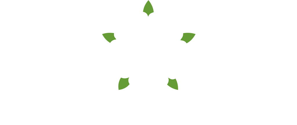 Coletta & Tyson logo