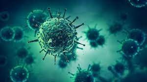 Infectious Diseases Awareness Training